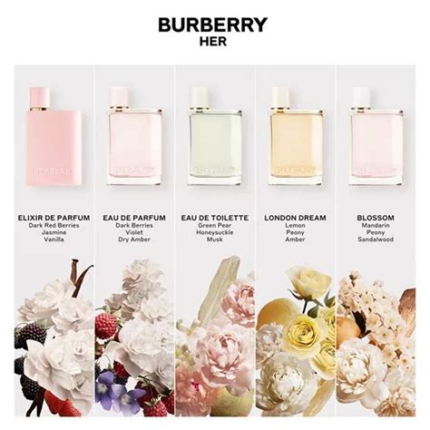 burberry top notes perfume|what does burberry smell like.